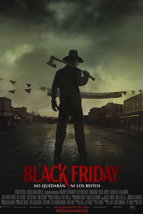 Cartel de la película Black Friday