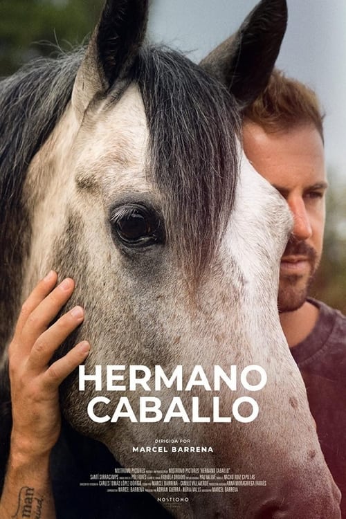 Cartel de la película Hermano caballo