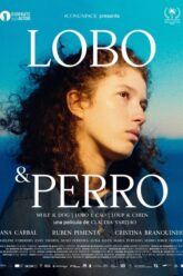 Lobo & Perro