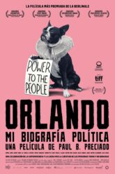 Orlando, mi biografía política