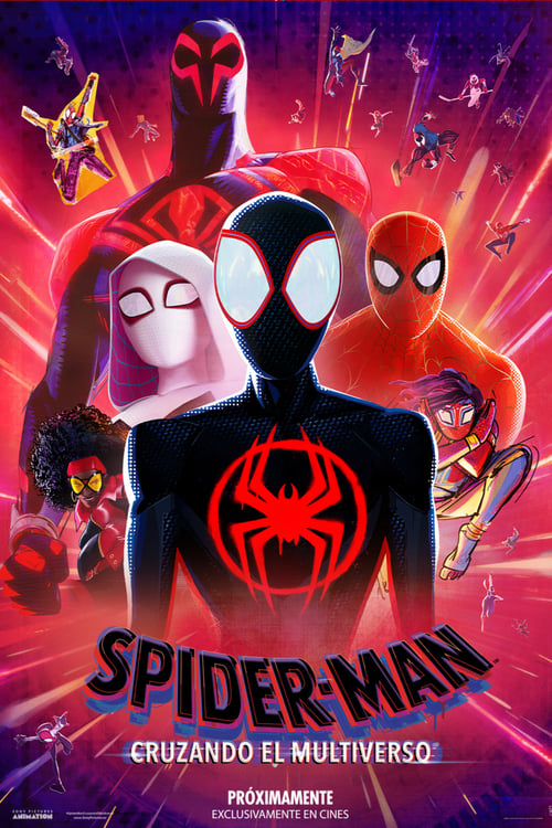 Cartel de la película Spider-Man: Cruzando el Multiverso