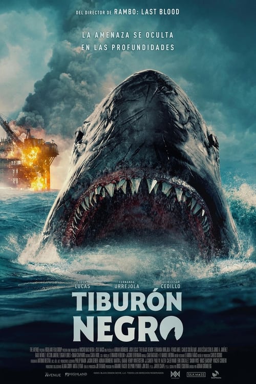 Cartel de la película Tiburón negro