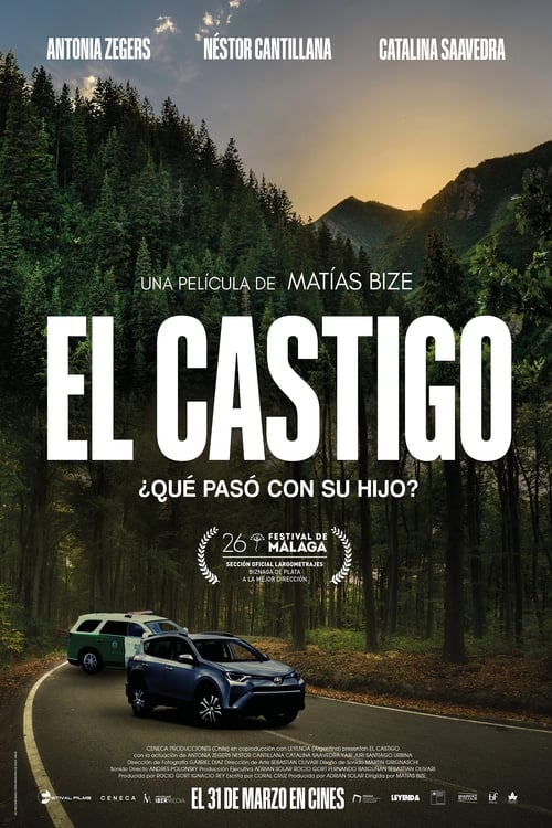 Cartel de la película El castigo