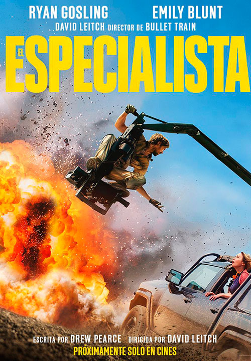Cartel de la película El especialista