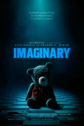 Imaginary
