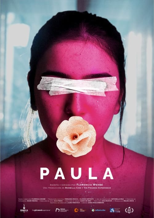 Cartel de la película Paula