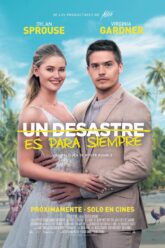 Un desastre es para siempre