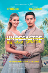 Un desastre es para siempre