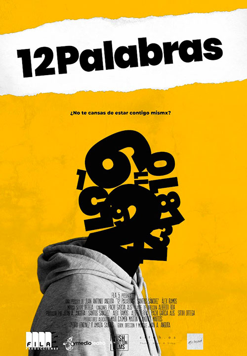 Cartel de la película 12 palabras