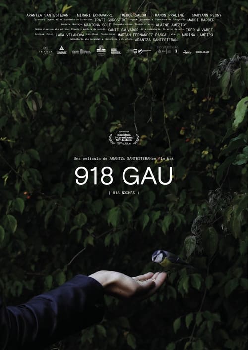 Cartel de la película 918 Gau (918 noches)