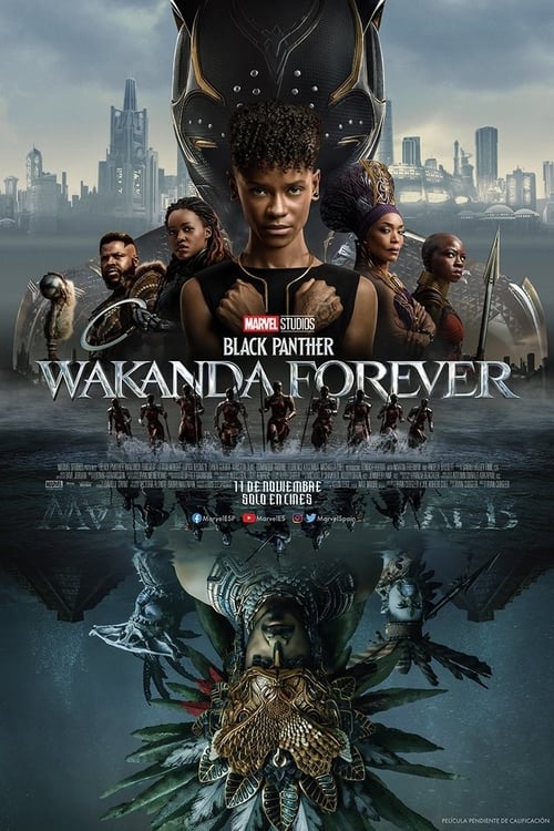 Cartel de la película Black Panther: Wakanda Forever