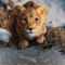Mufasa: El rey león