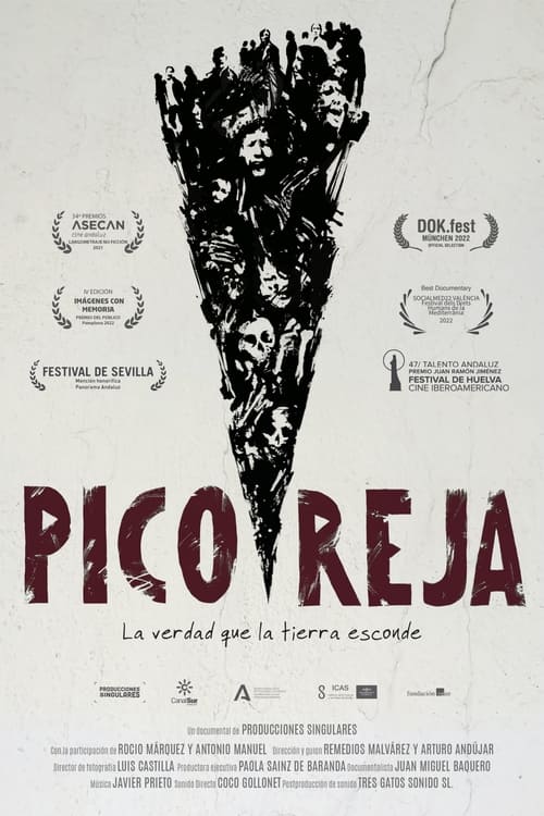 Cartel de la película Pico Reja: la verdad que la tierra esconde