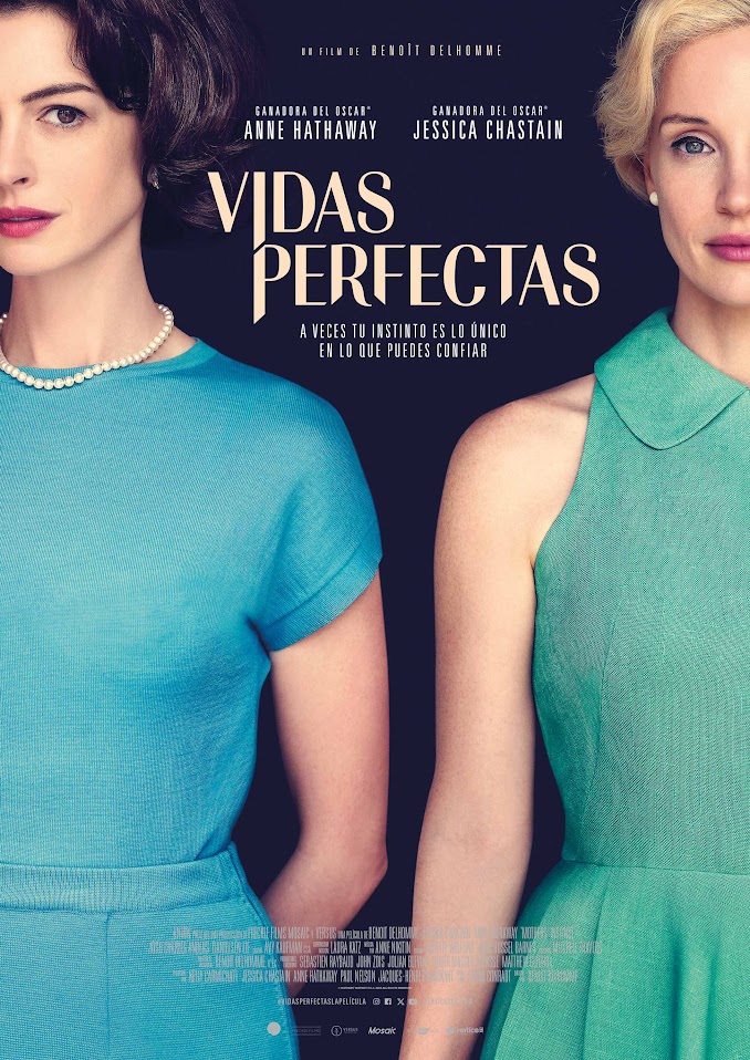Cartel de la película Vidas perfectas