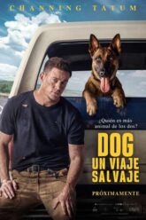 Dog – Un viaje salvaje