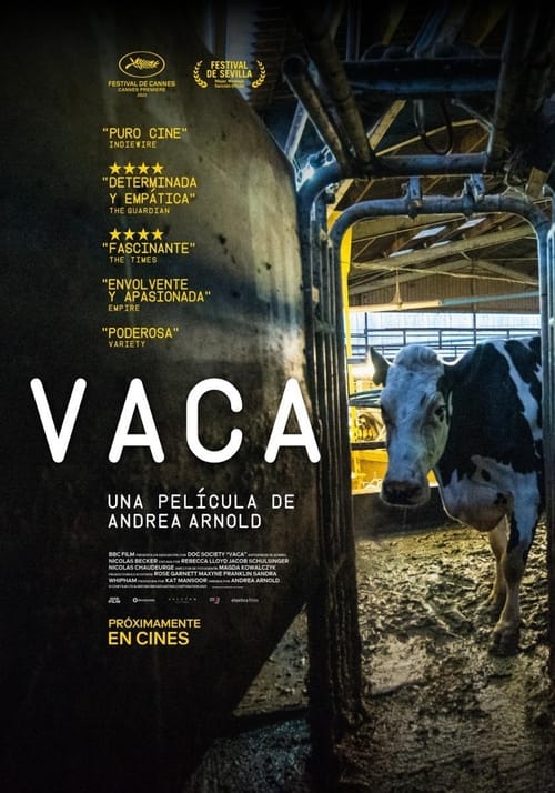 Cartel de la película Vaca