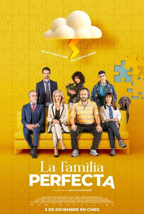 Cartel de la película La familia perfecta