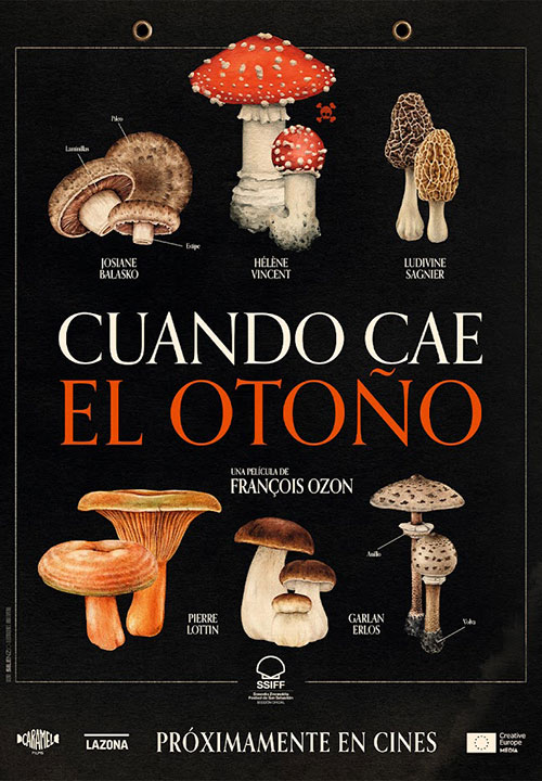 Cartel de la película Cuando cae el otoño