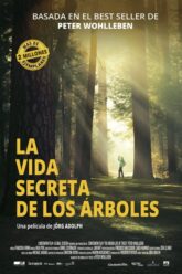 La vida secreta de los árboles