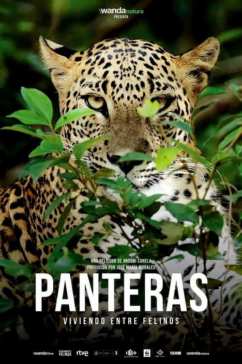 Cartel de la película Panteras