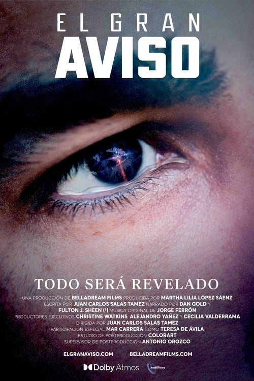 Cartel de la película El gran aviso