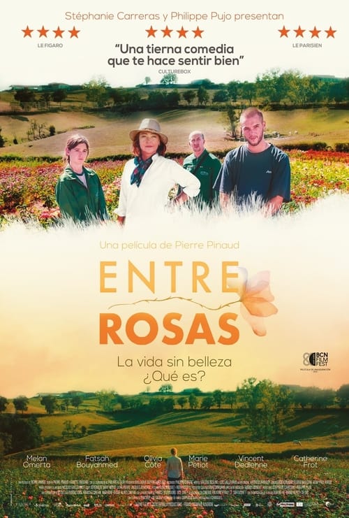 Cartel de la película Entre rosas