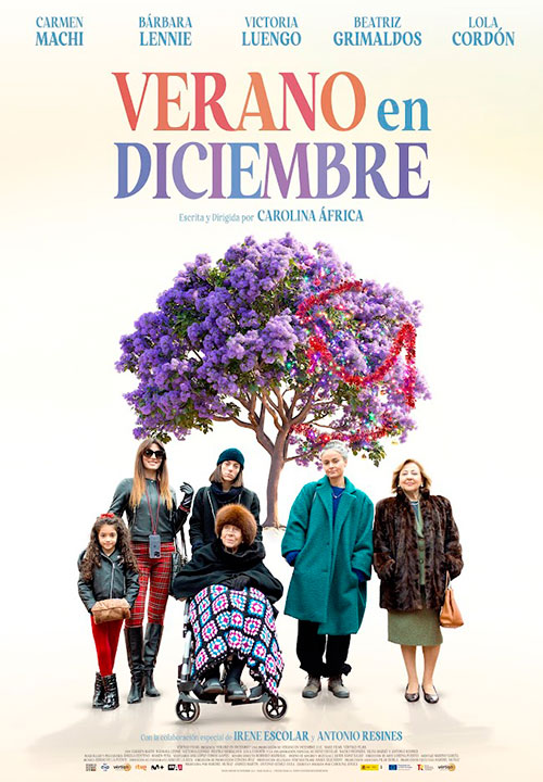 Cartel de la película Verano en diciembre