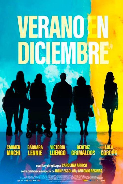 Cartel de la película Verano en diciembre