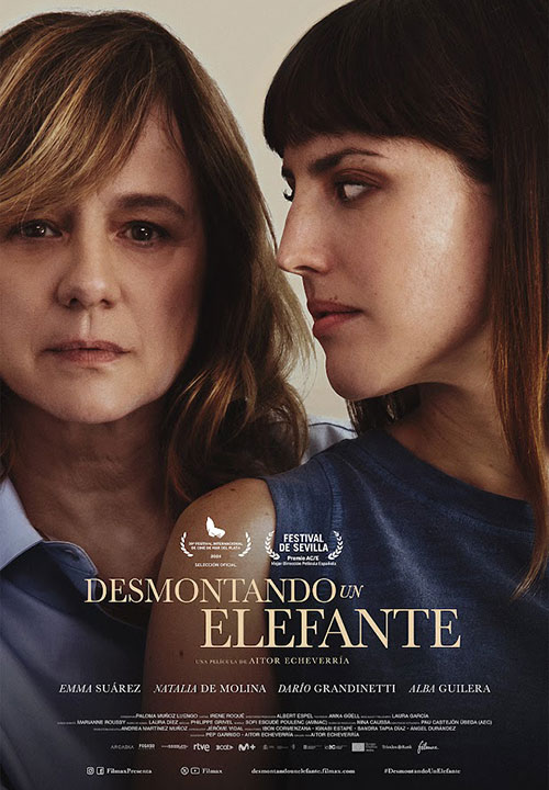 Cartel de la película Desmontando un elefante