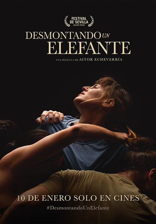 Cartel de la película Desmontando un elefante