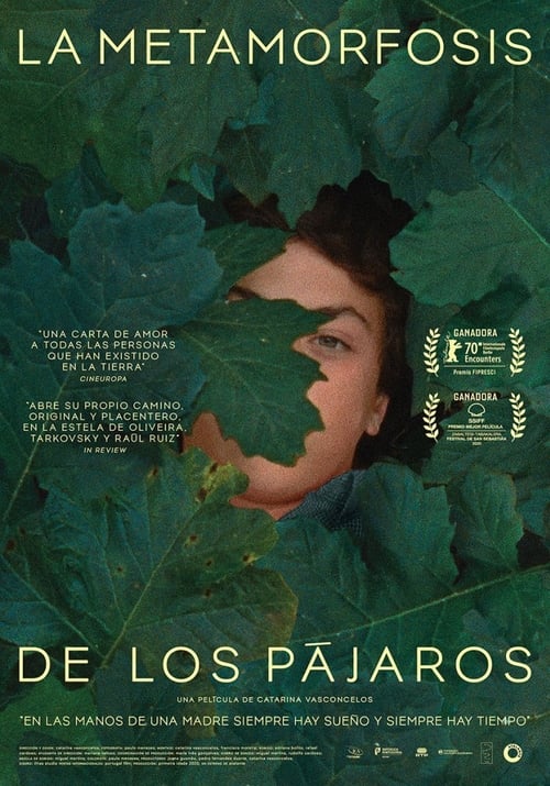 Cartel de la película La metamorfosis de los pájaros