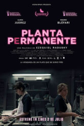 Planta permanente