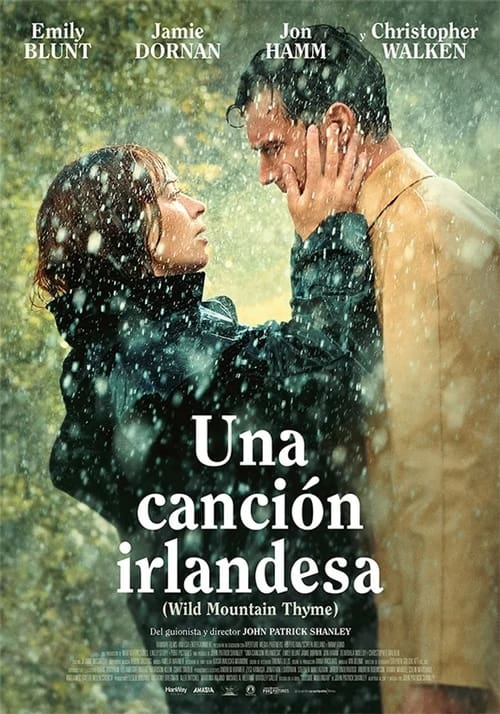 Cartel de la película Una canción irlandesa