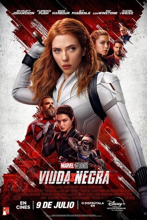 Cartel de la película Viuda negra