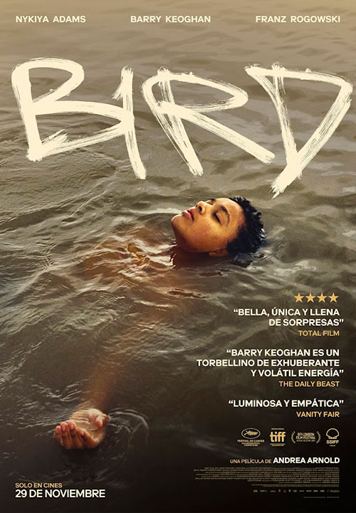 Cartel de la película Bird