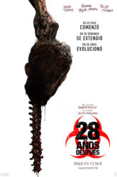 28 años después