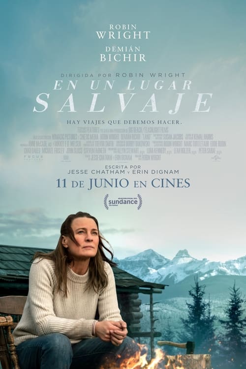 Cartel de la película En un lugar salvaje