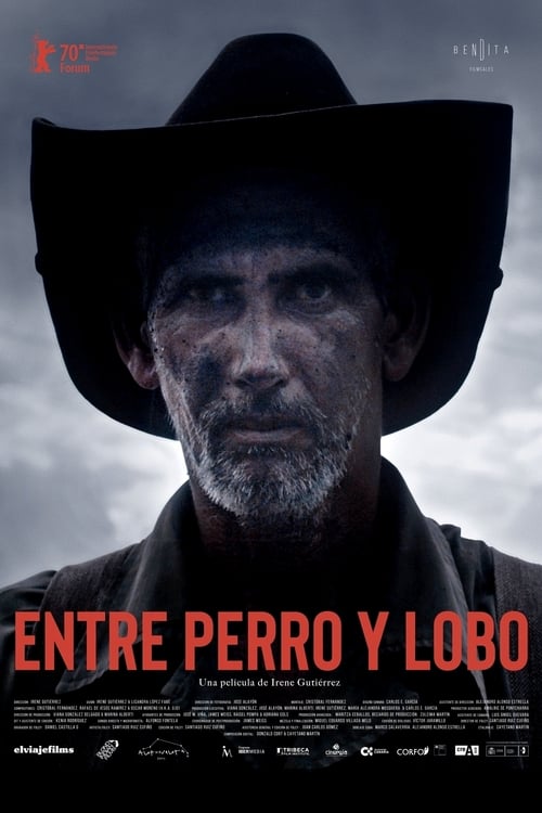 Cartel de la película Entre perro y lobo