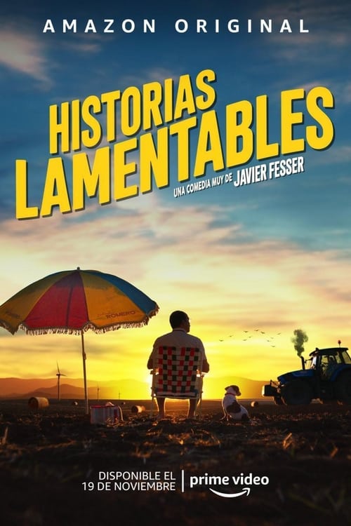 Cartel de la película Historias lamentables