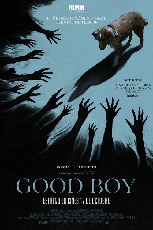 Cartel de la película Good Boy