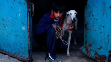 Ciudad-sin-sueño-fondo