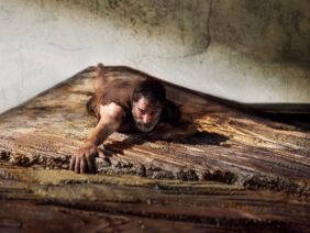 El hombre menguante fondo