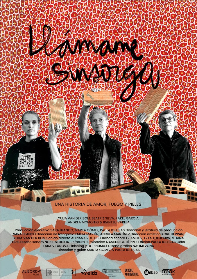 Cartel de la película Llámame Sinsorga