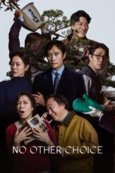 No hay otra opción provisional