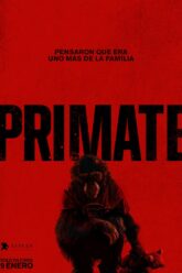 Primate