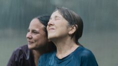 Querido trópico fondo