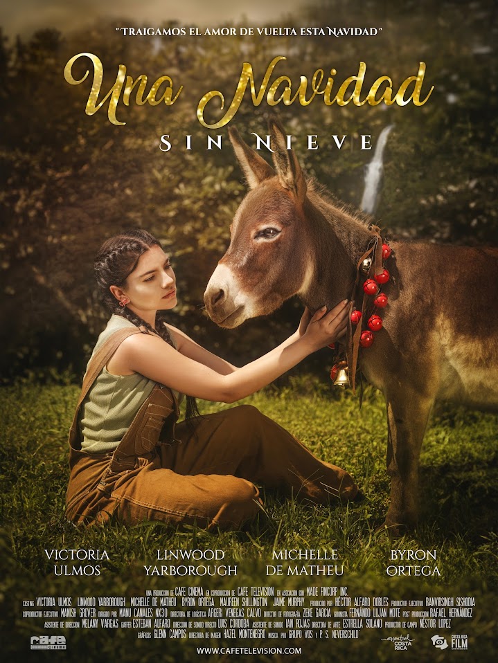 Cartel de la película Una Navidad sin nieve