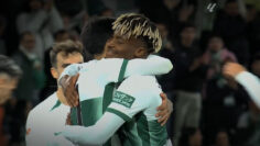 Corazón-franjiverde-fondo