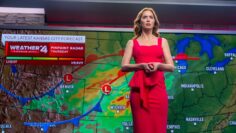 El día de la revelación fondo