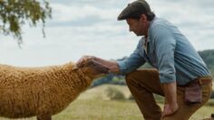 Las ovejas detectives fondo